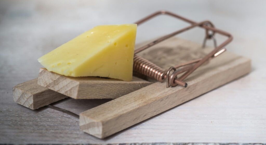 mouse trap with a pice of cheese
